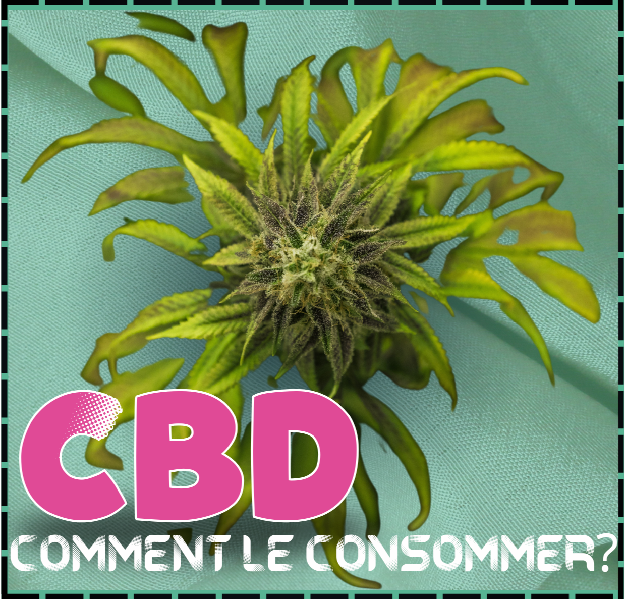 illustration consommation cbd article de blog